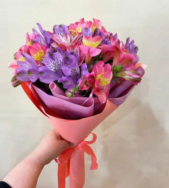 Звездный путь