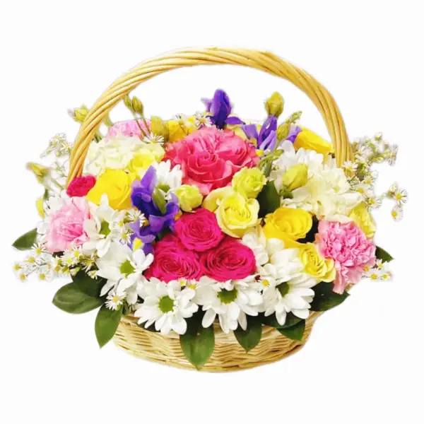 Солнечная мечта