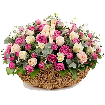 Утренняя свежесть