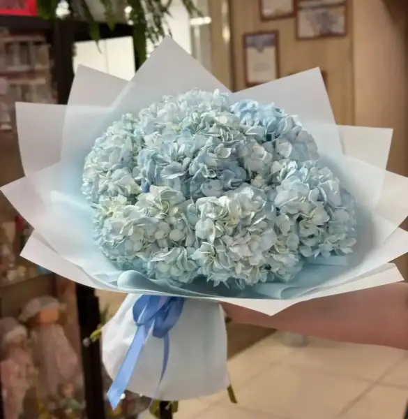 Букет из голубой гортензии